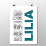 Affiche Lilia Plouguerneau New 2