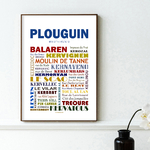 affiche PLOUGUIN NEW