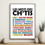 affiche Les Mots des Ch'tis