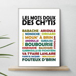 affiche Les mots doux des Ch'tis