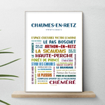 affiche Chaumes en retz