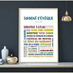 affiche Savigné l'évêque