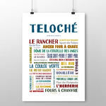affiche Téloché 2