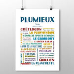Affiche de Plumieux 2