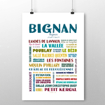 affiche Bignan 2