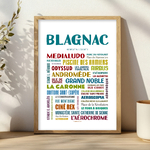 Affiche Blagnac Quartiers