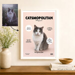 Mockup Catsmopolitan 2
