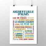 affiche Aigrefeuille dAunis 2