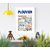 Plouvien quartiers 3