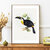affiche vintage 27a