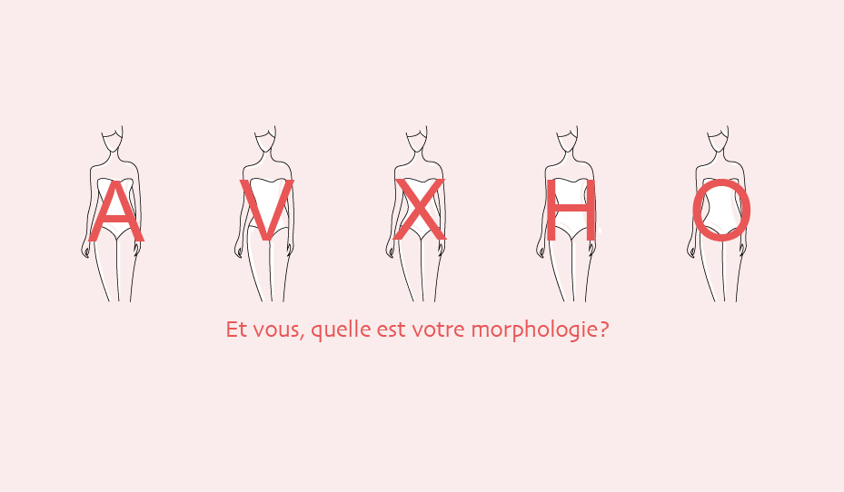 bonnieandcie morphologie