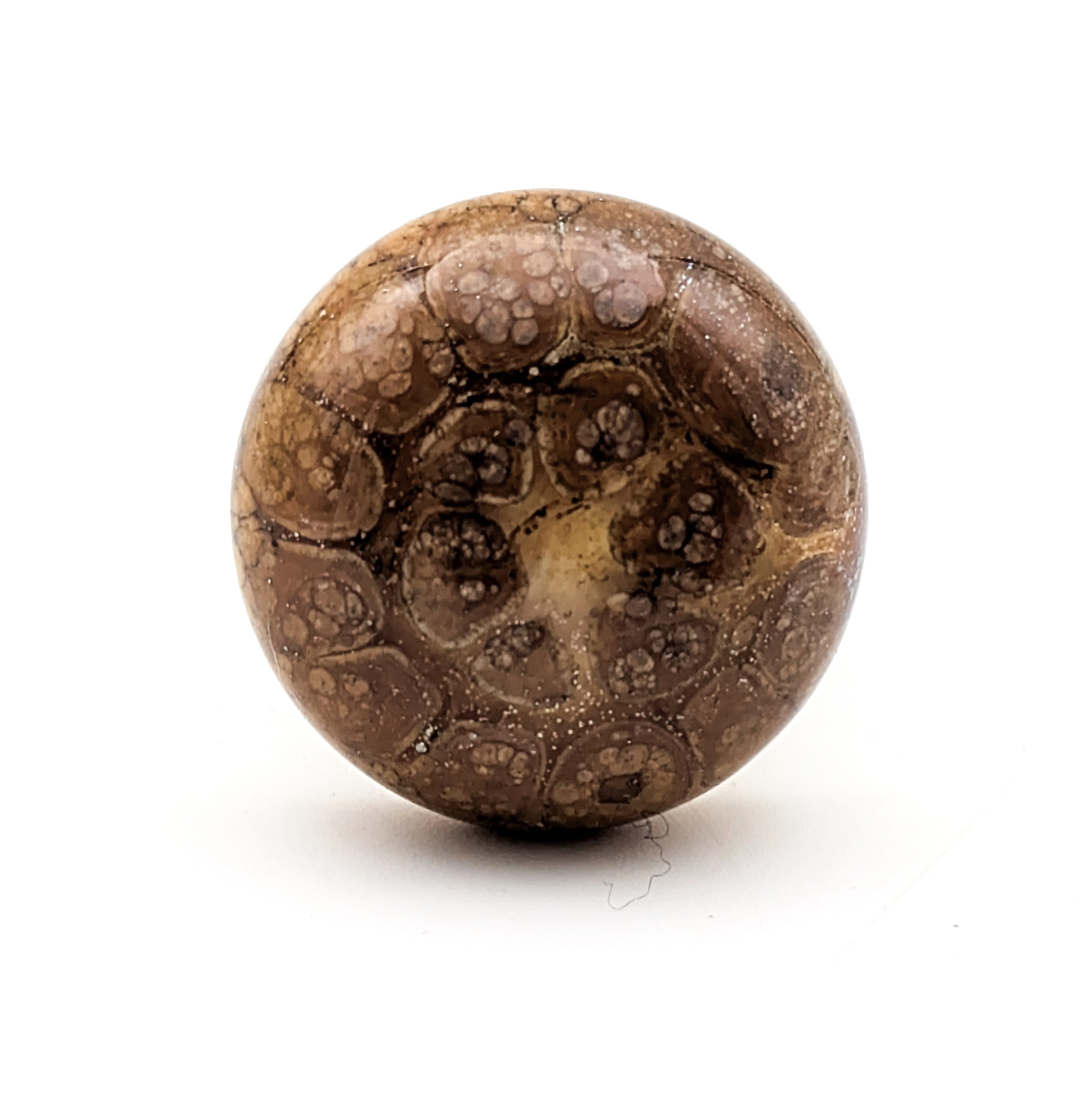 Perle moon poussière dor (2)