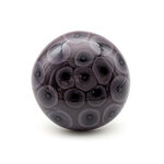 Perle moon prune sauvage (2)