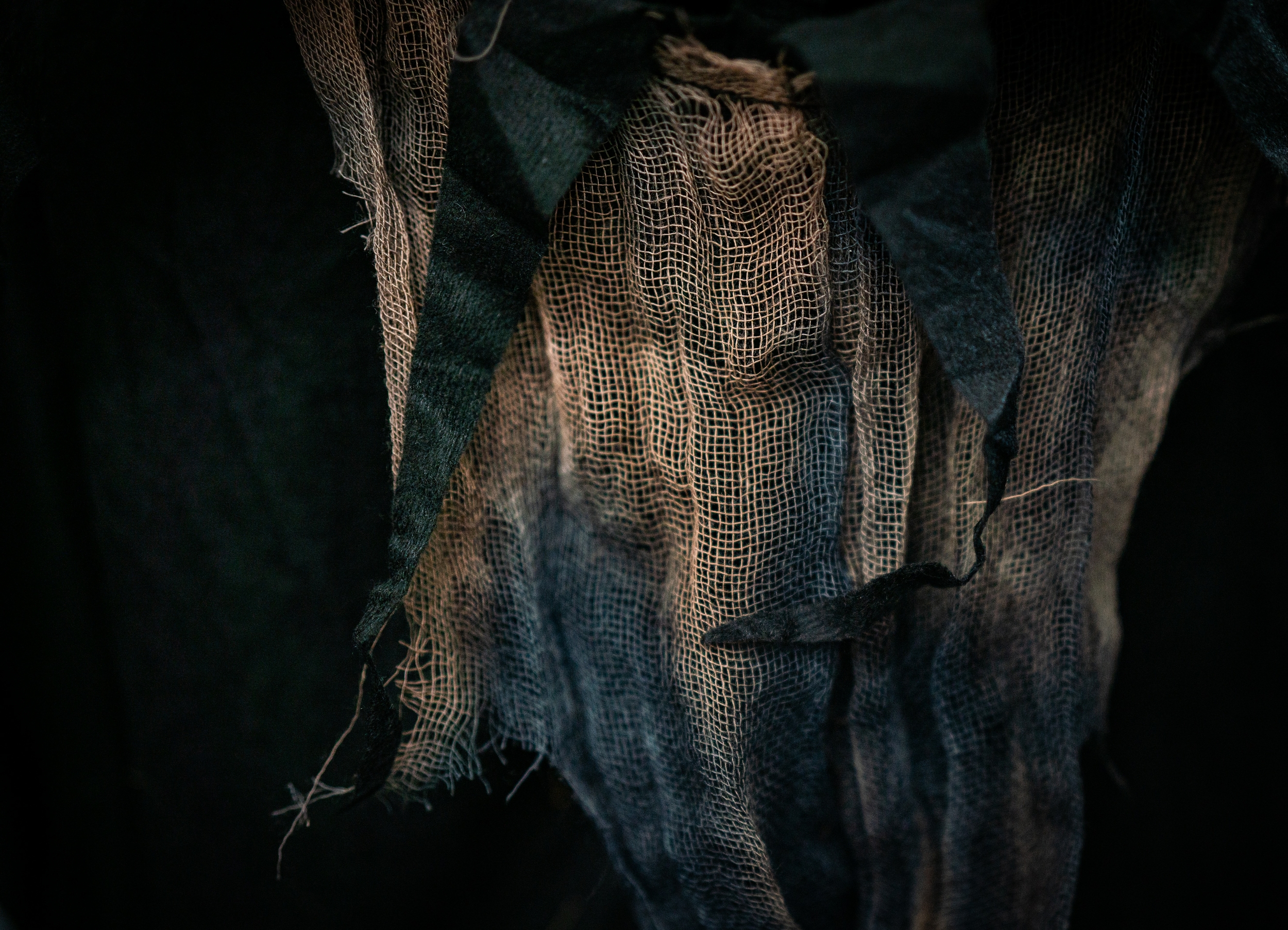 oxana melis y 4ldwoedbu unsplash