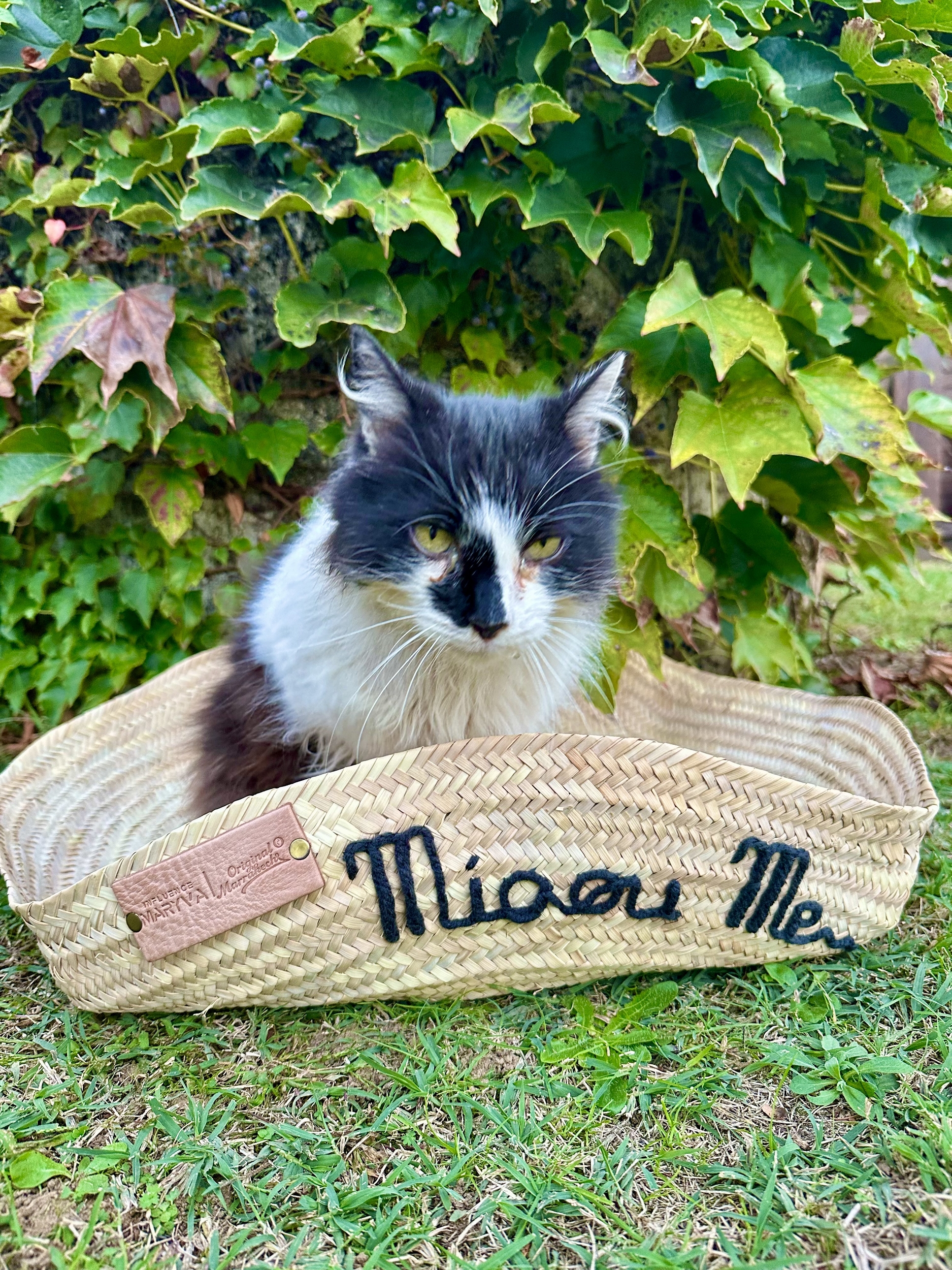 Panier design pour chat et pour chien style bohème chic