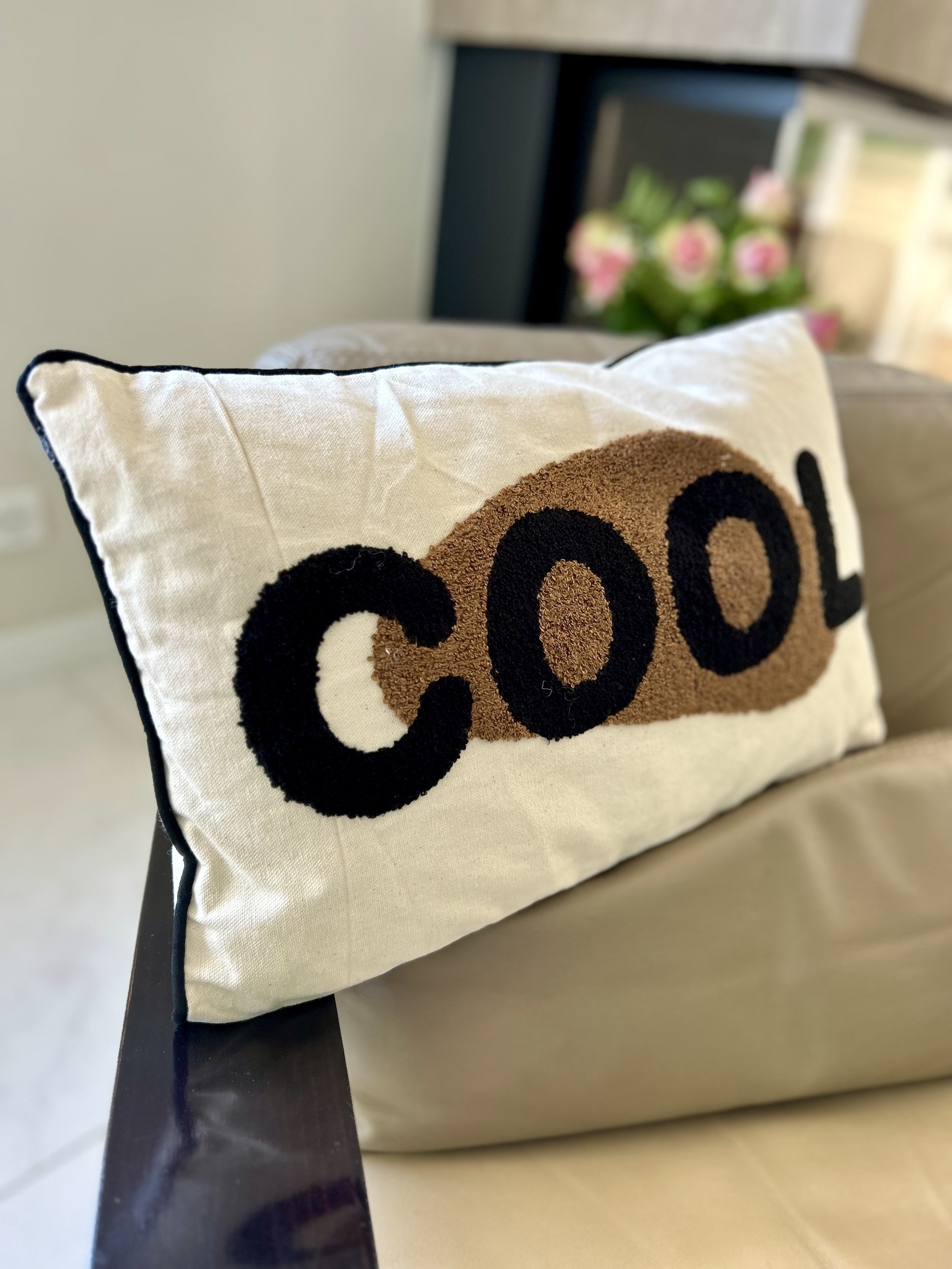 COUSSIN BOUCLCOOL 1