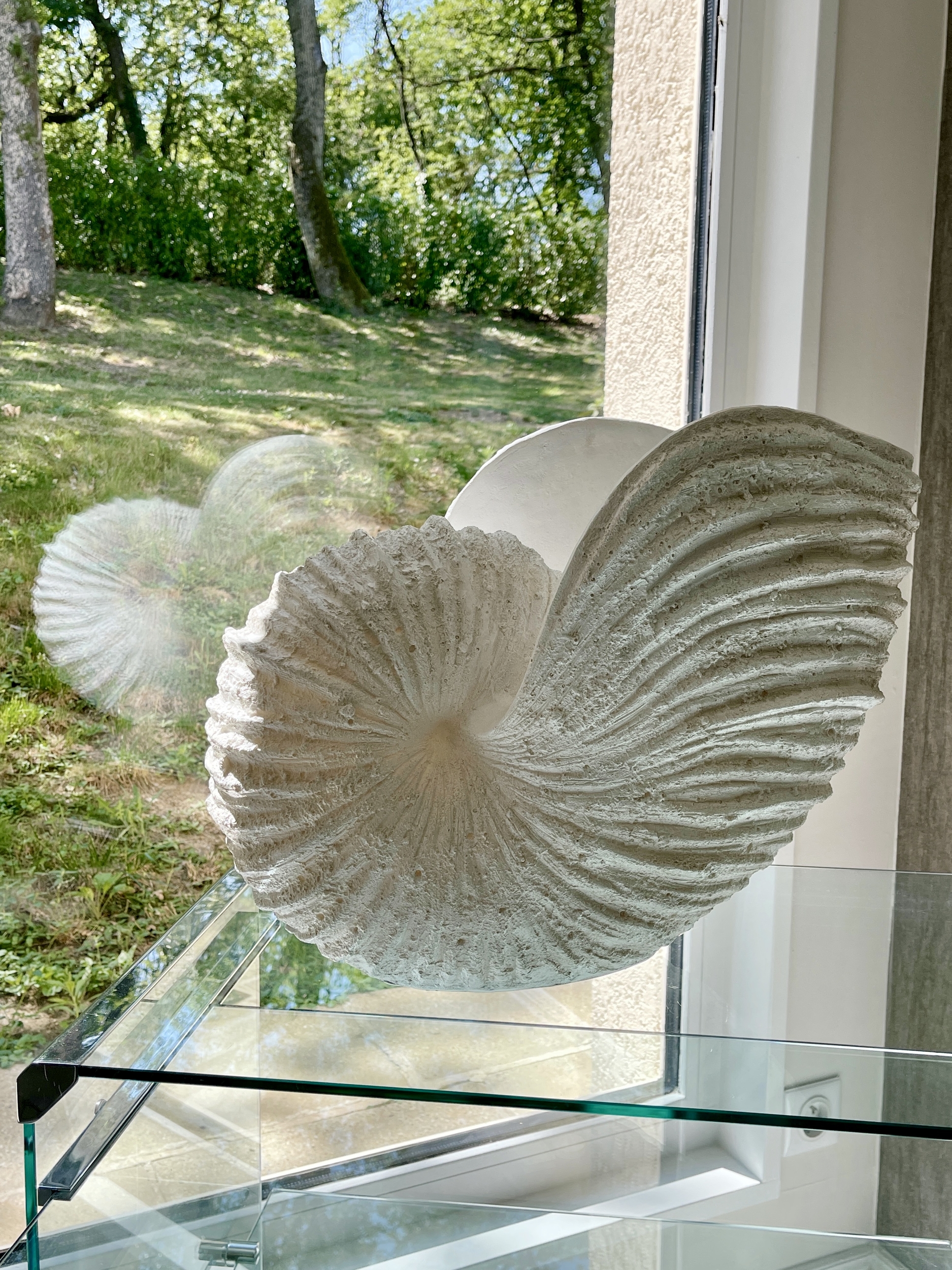 gros coquillage tres haut et grand decoration boheme idee de decoration a mettre dans une entree ou un salon coquillage mediterraneen enorme coquillage pas cher livraison rapide concept store influence maryva