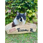 Panier design pour chat et pour chien style bohème chic