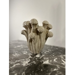 Vase asperge de couleur beige très design à mettre en décoration