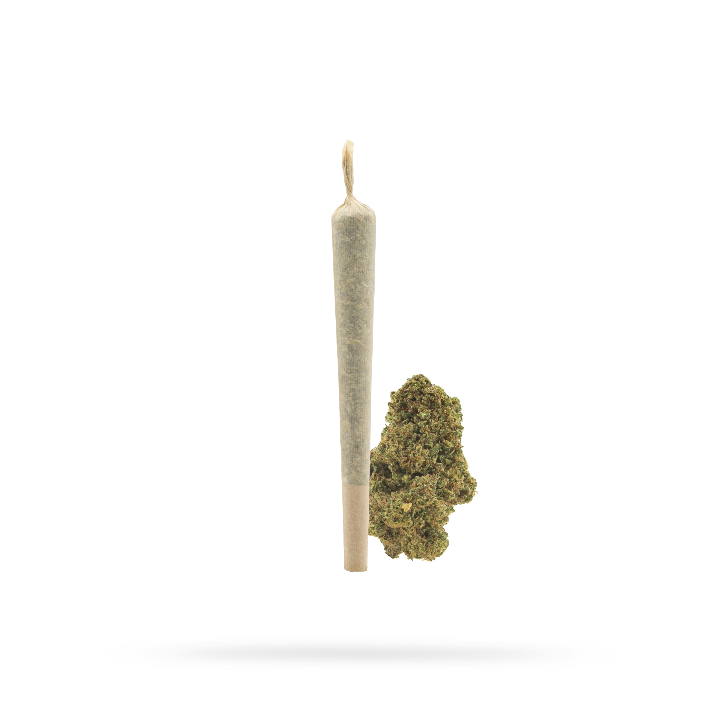 Preroll-AMNESIA-02