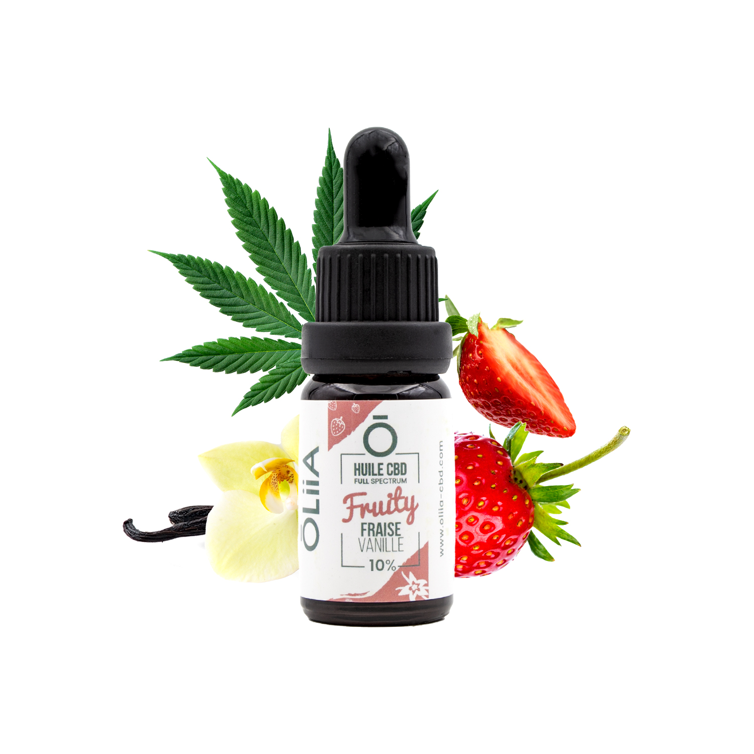 FRUITY FV 10