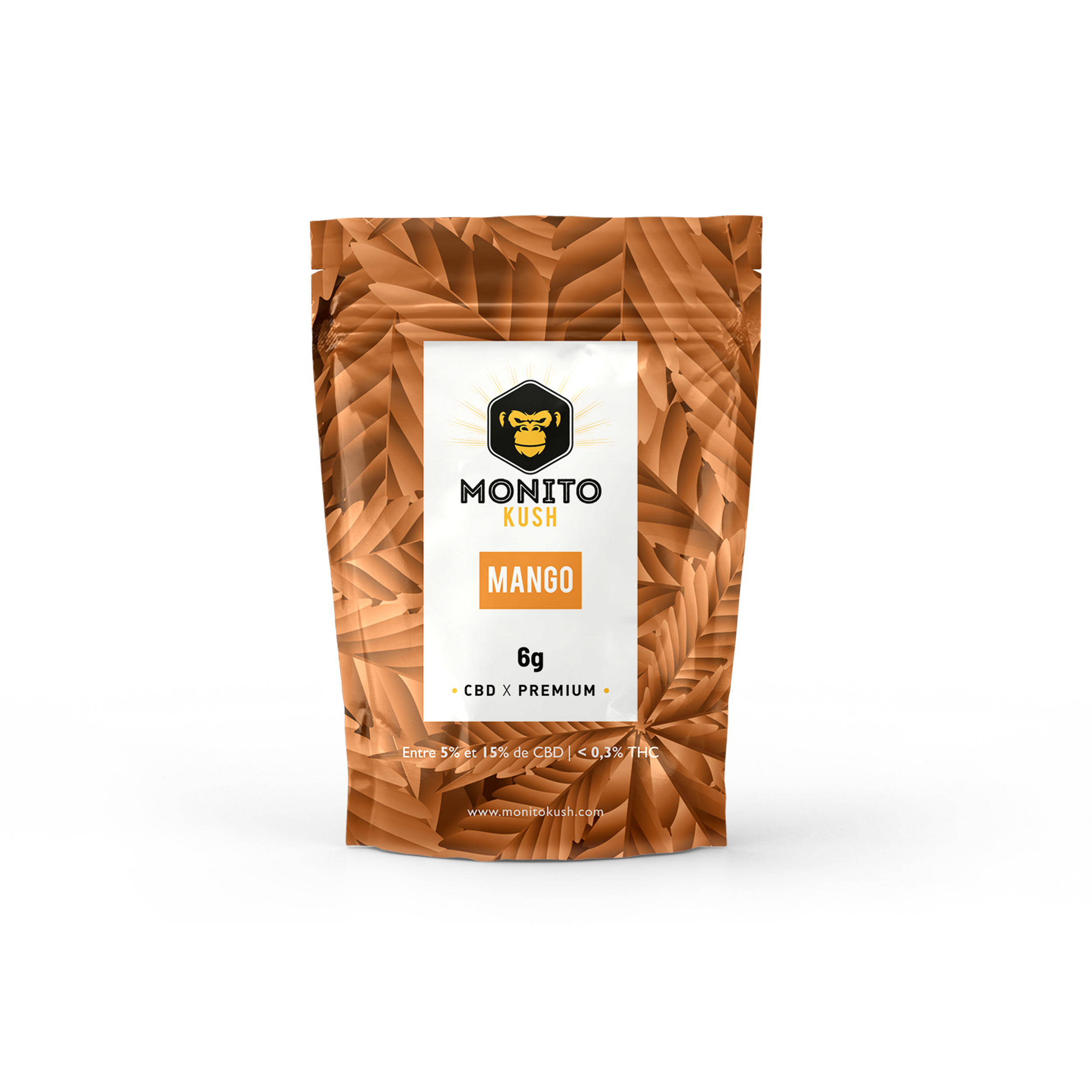 Mango-sachet02