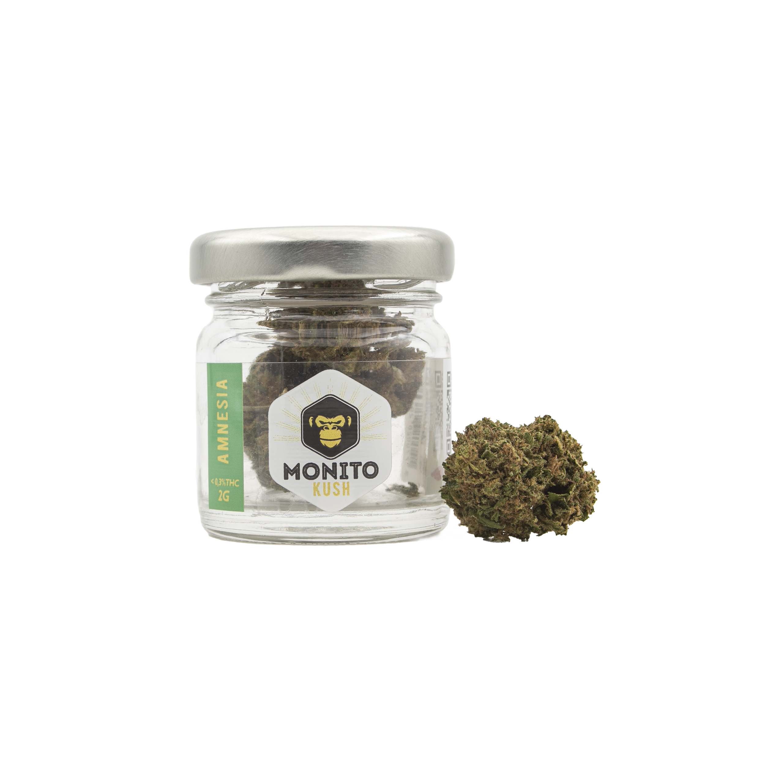 amnesia-2g-01