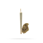 Preroll-MANGO-02