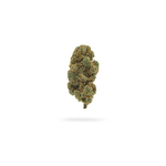 White-Widow-Fleur