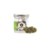 White-Widow-2