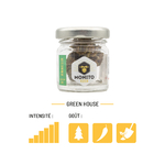 amnesia-2g-02