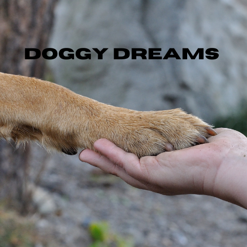 doggy dreams