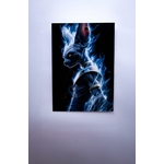 71uUKAmN-wL._AC_SL1500_