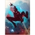 719MptfJYyL._AC_SL1500_