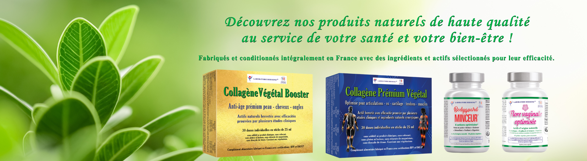 page accueil l bermond v3