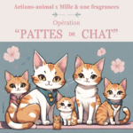 Opé pattes de chat