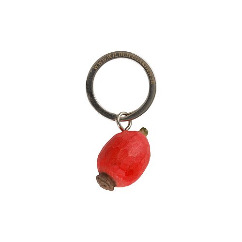 porte-cle-Cynorhodon-1