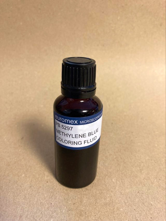 Methylenblau - biologische und bakteriologische Färbung