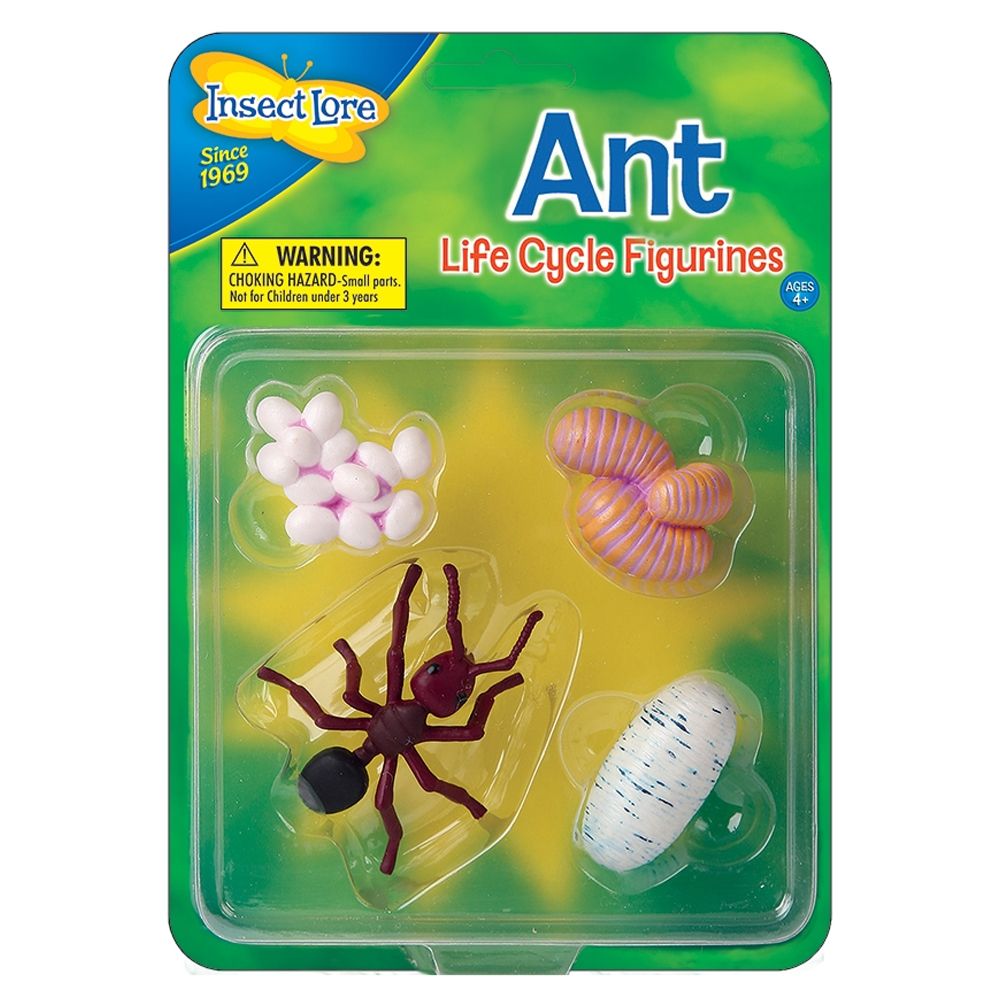 Spielzeug - Lebenszyklus von Ameisen