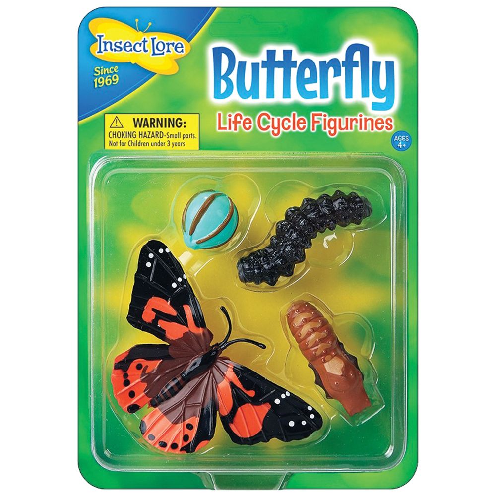 Spielzeug - Lebenszyklus von Schmetterlingen