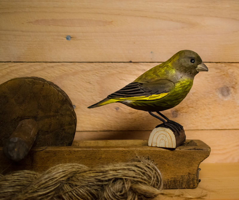 WG407_Decobird_Goldfinch_maunakea