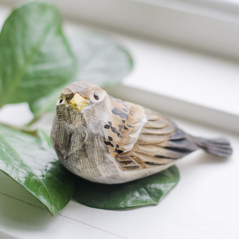 Moineau domestique