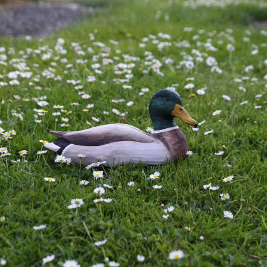 WG457_DecoBird_Mallard_colvert_maunakea