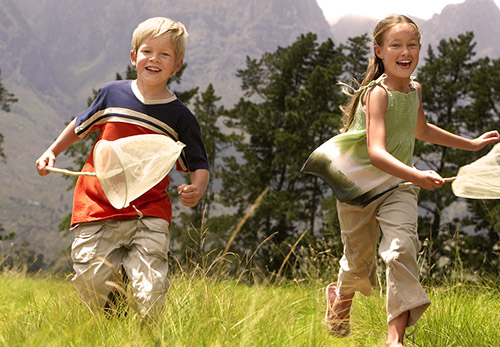 maunakea categorie animation enfant capture observation