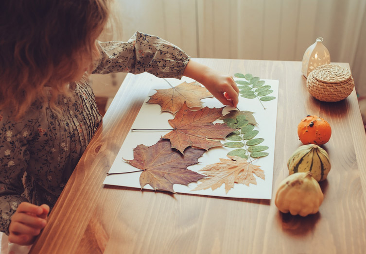 maunakea categorie animation enfant herbier