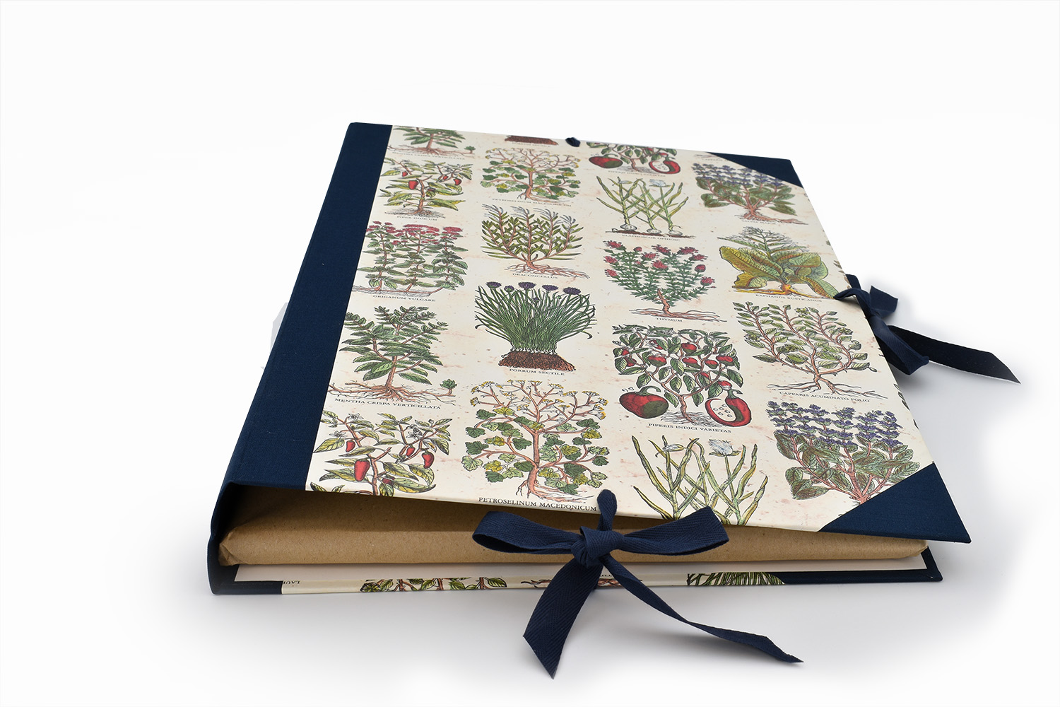 Herbariumsordner - 50 Blatt