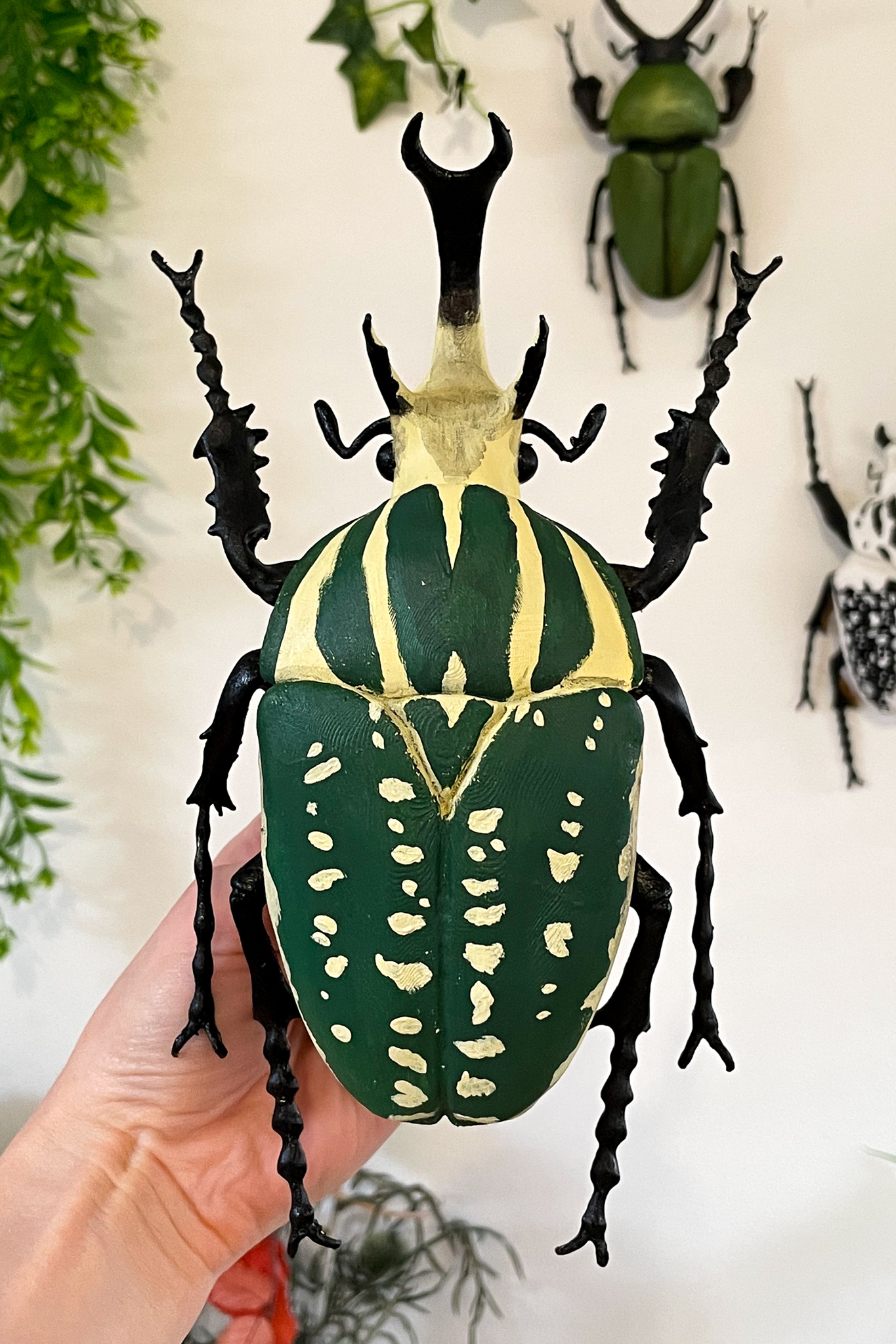 Coleoptere-decoration-educatif-insecte-Mecynorrhina-maunakea