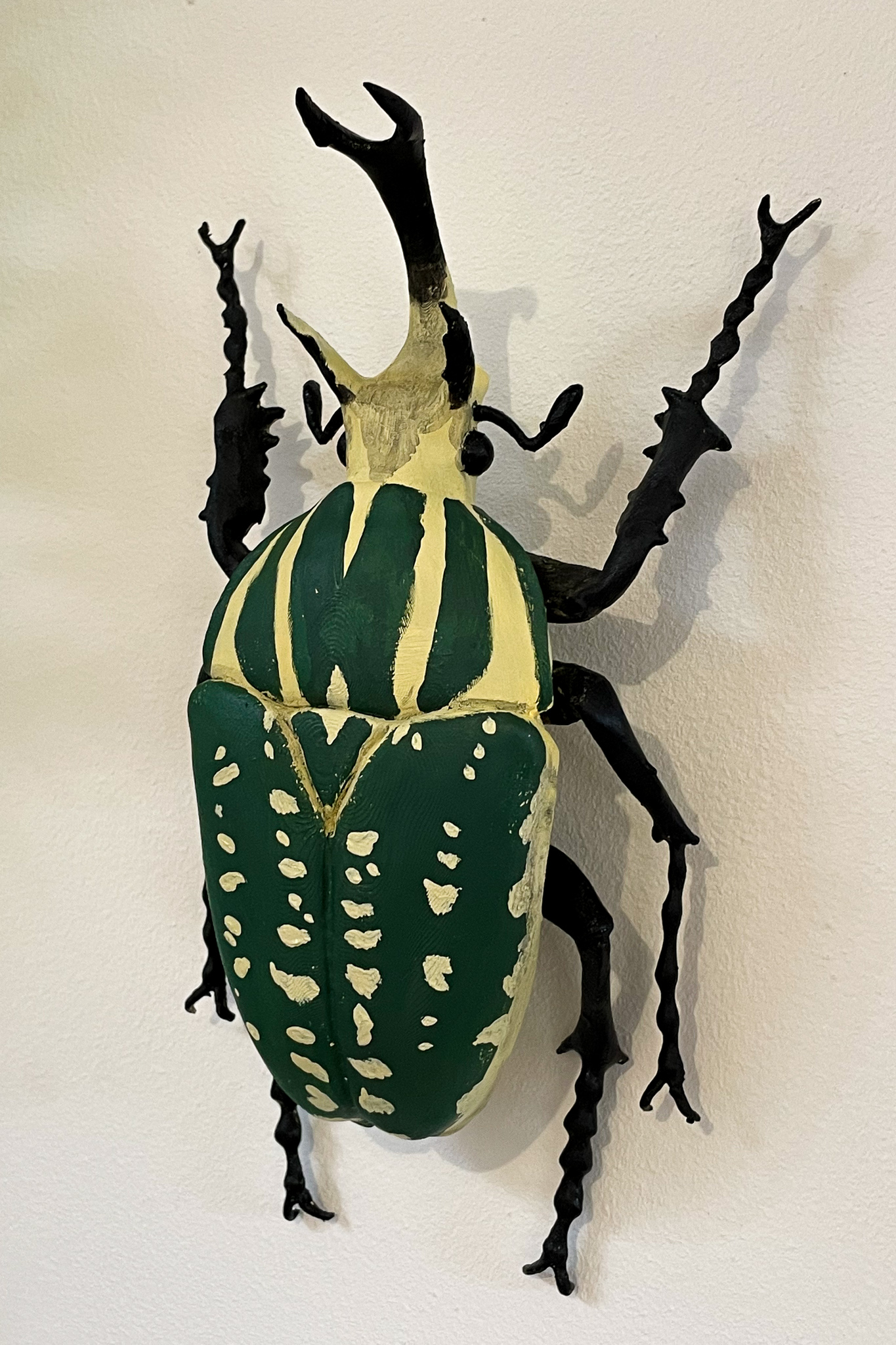 Coleoptere-decoration-educatif-insecte-Mecynorrhina-2-maunakea