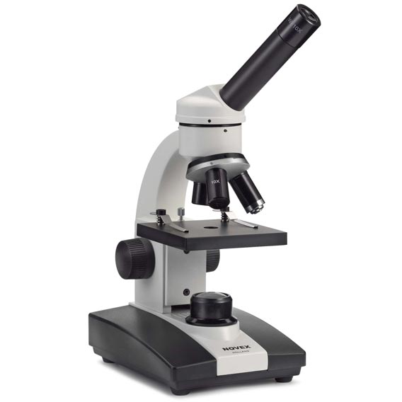 Microscope Novex Junior LED 81500