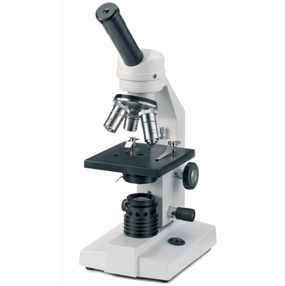 Microscope Novex - FL 100